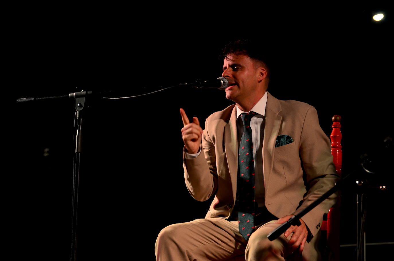 El flamenco brilla en su noche más especial en Huétor Vega