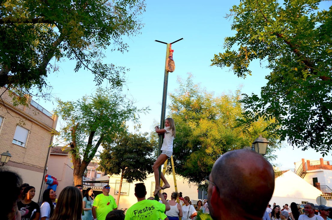 Huétor Vega vibra con su particular encierro de 'toros'