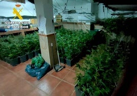 Desarticulado por segunda vez un centro de producción de marihuana en Huétor Vega
