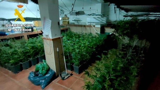 Desarticulado por segunda vez un centro de producción de marihuana en Huétor Vega