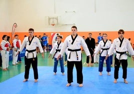 Exhibición de taekwondo en Huétor