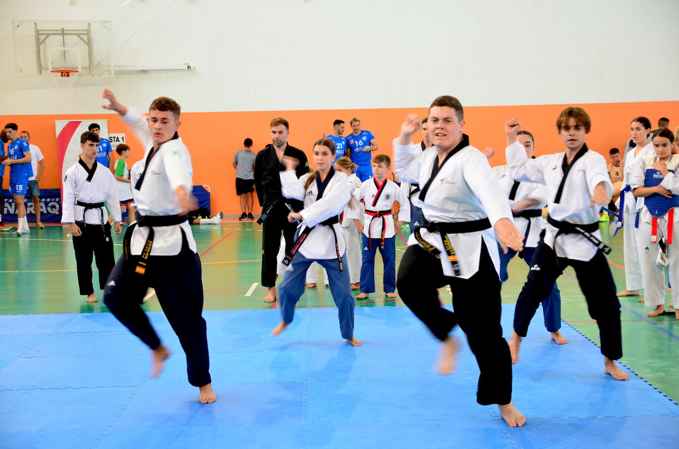 Exhibición de taekwondo en Huétor