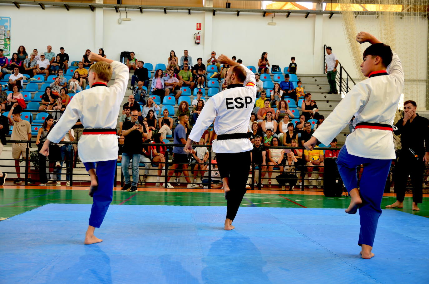 Exhibición de taekwondo en Huétor