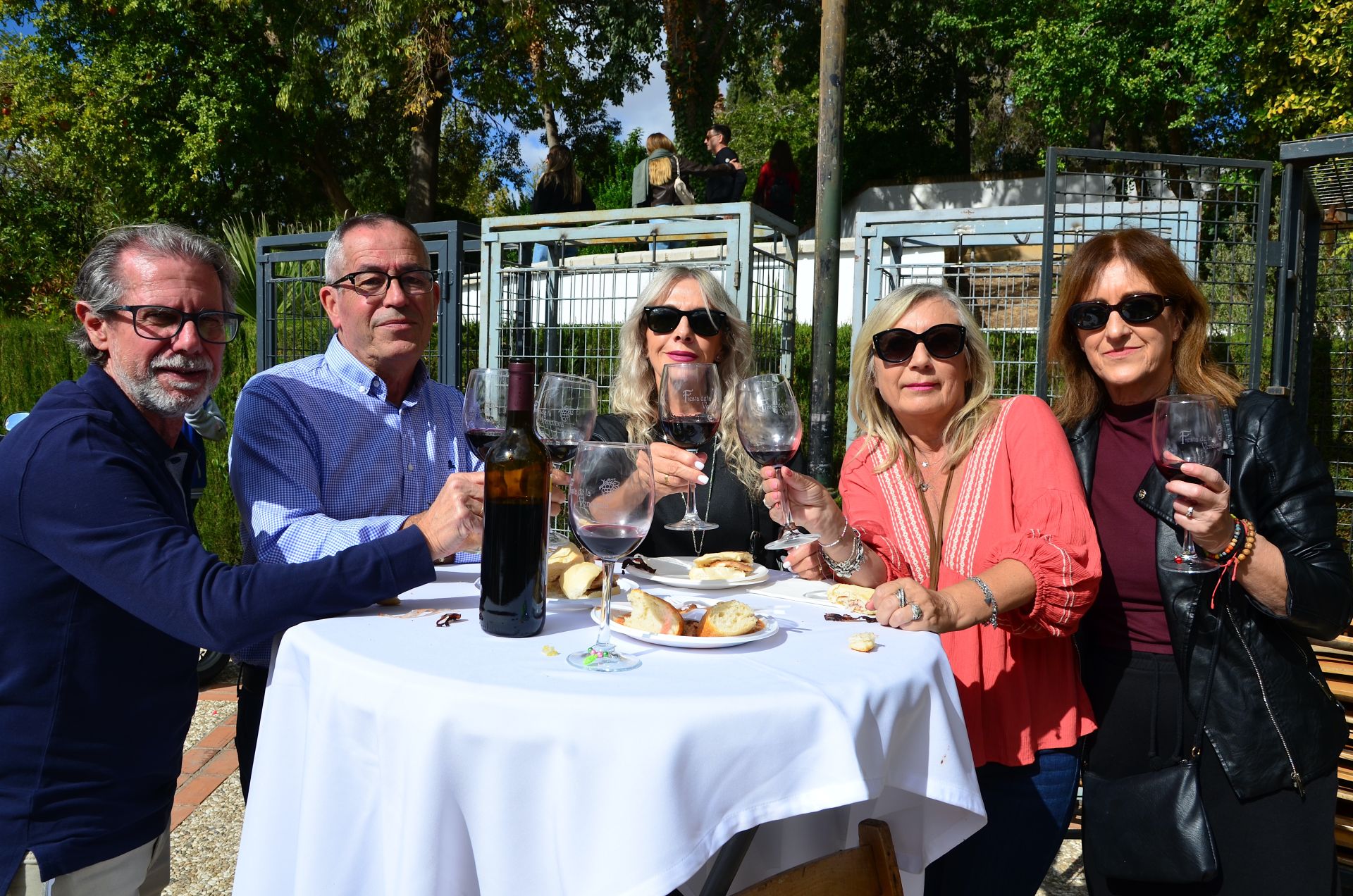 Así ha sido la novena Fiesta de la Vendimia de Huétor Vega