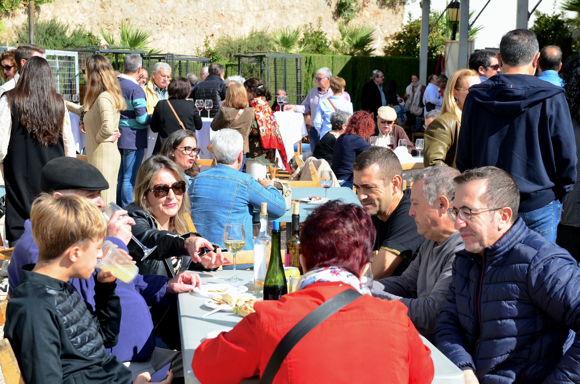Así ha sido la novena Fiesta de la Vendimia de Huétor Vega