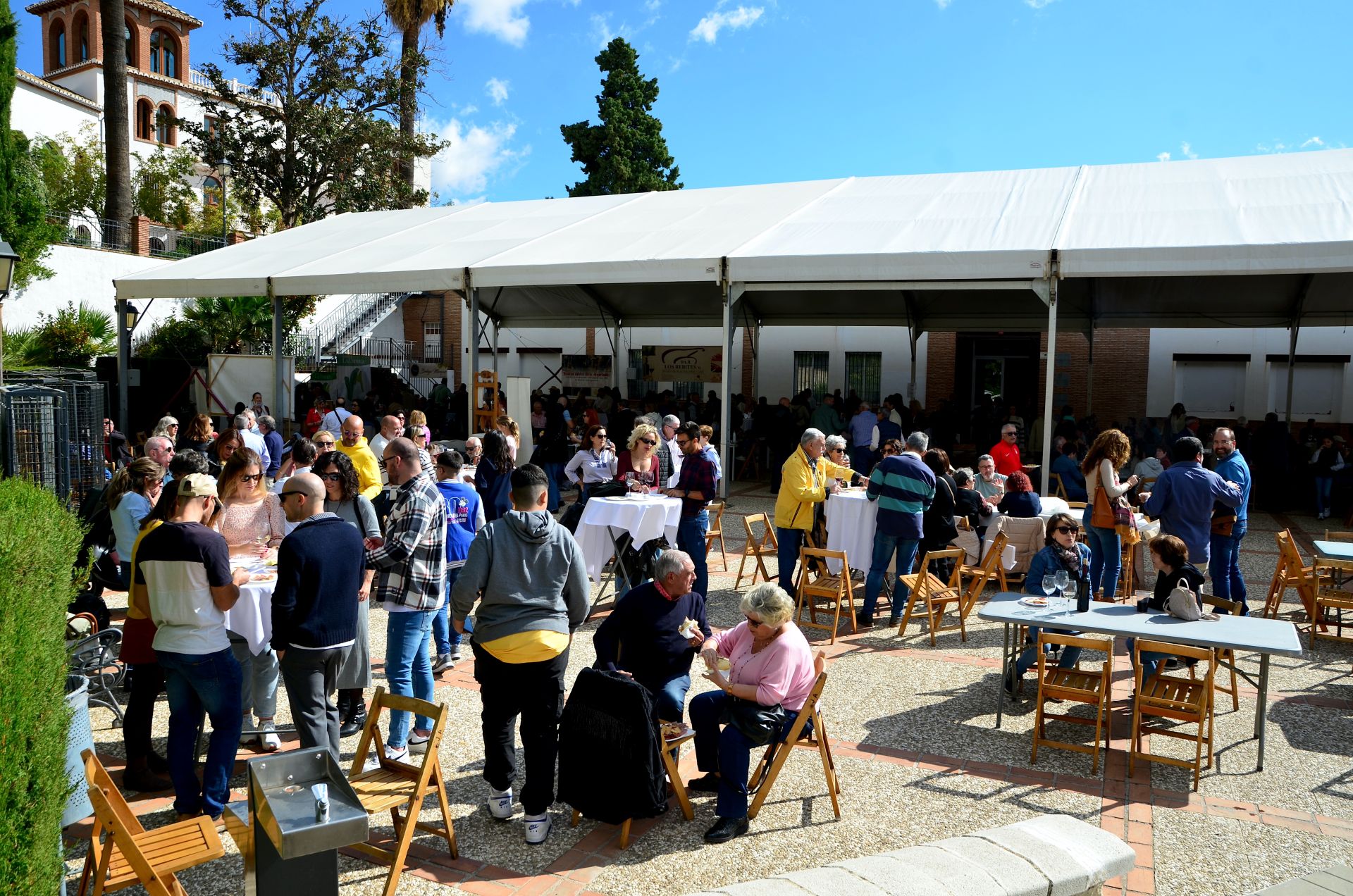 Así ha sido la novena Fiesta de la Vendimia de Huétor Vega