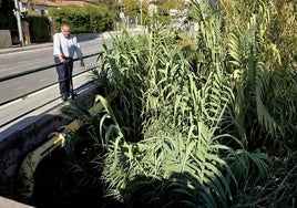 Mario del Paso señala la tubería que transporta gas en el lateral del puente.
