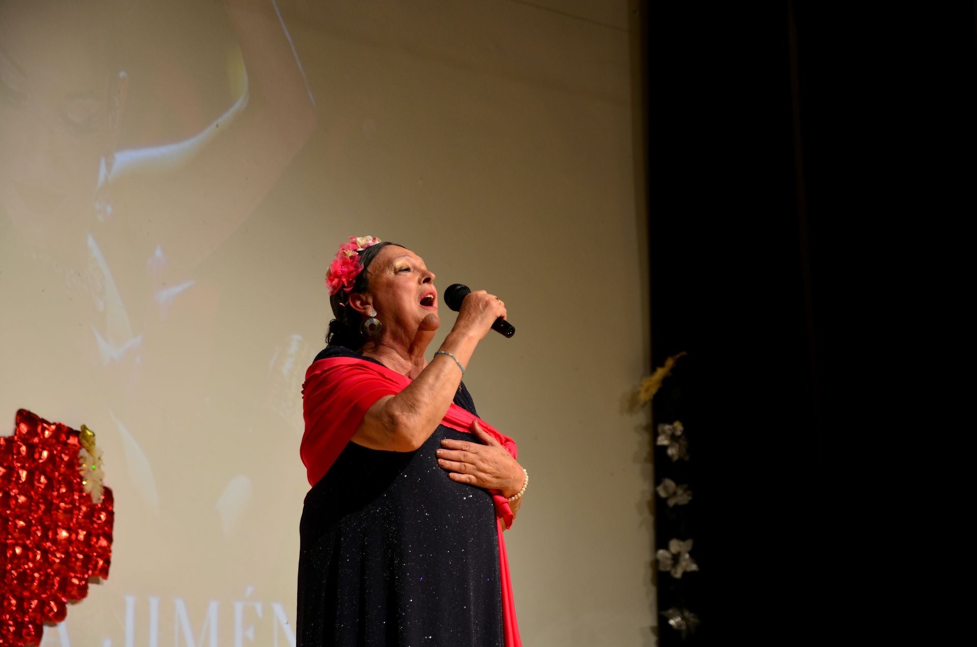 Huétor Vega y su lluvia de estrellas solidarias