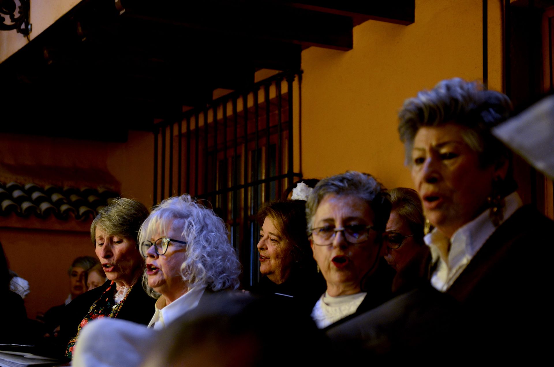 Huétor Vega alumbra ya su Navidad