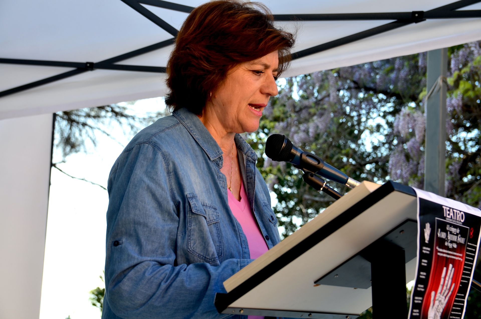 Huétor Vega lee 'El Quijote' en el Carmen de San Rafael