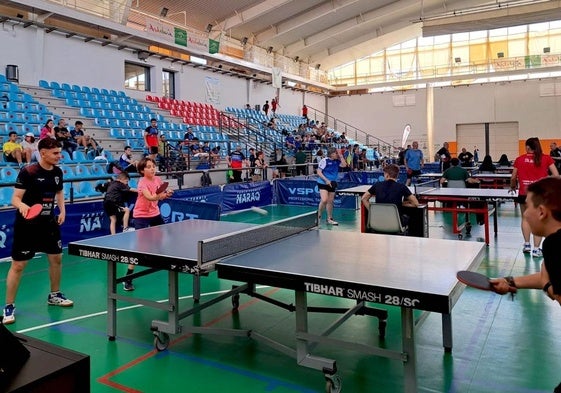 Campeonato Provincial de Granada de tenis de mesa, en Huétor Vega.
