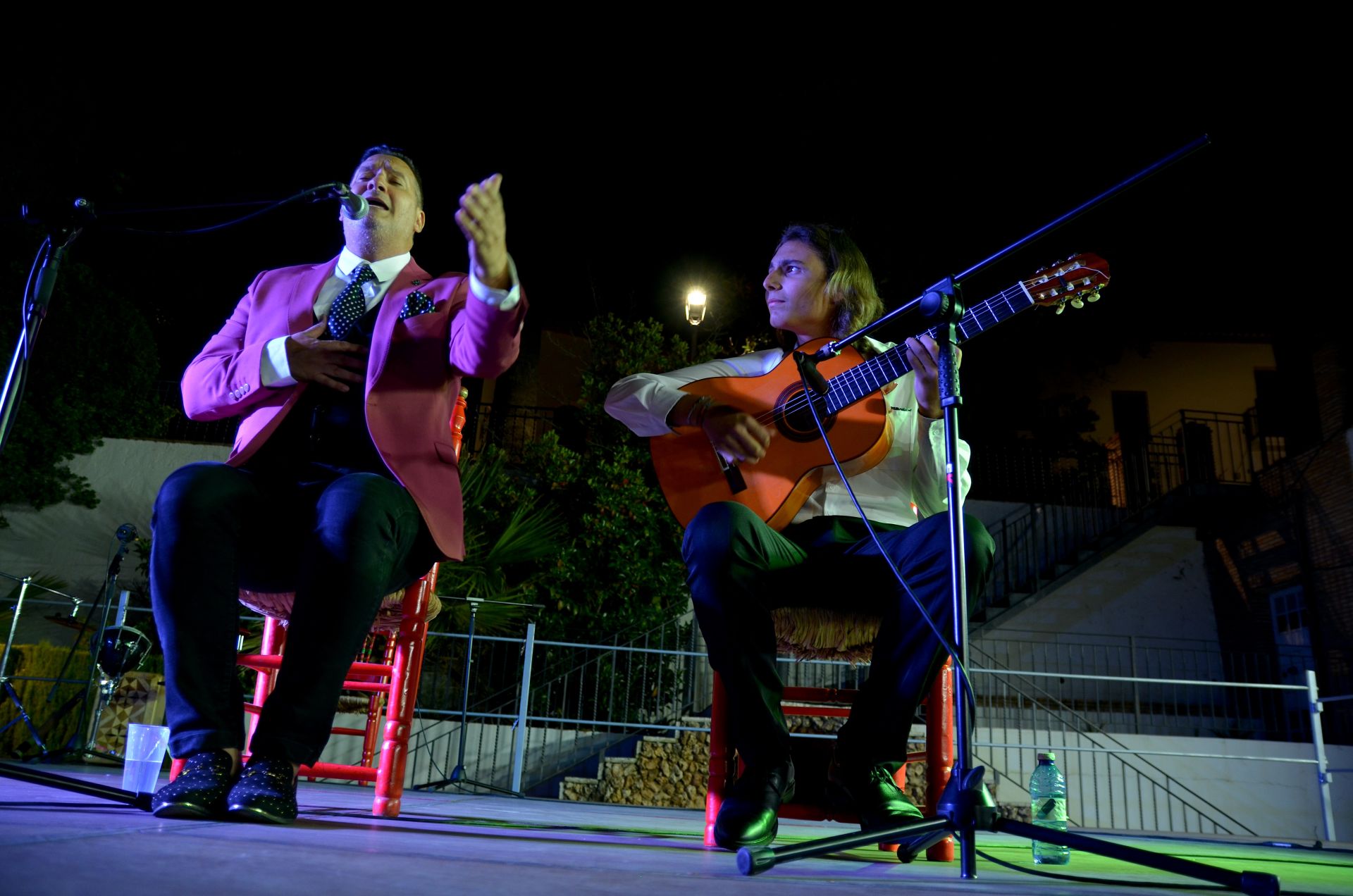 Festival Flamenco de Huétor Vega: tradición y futuro