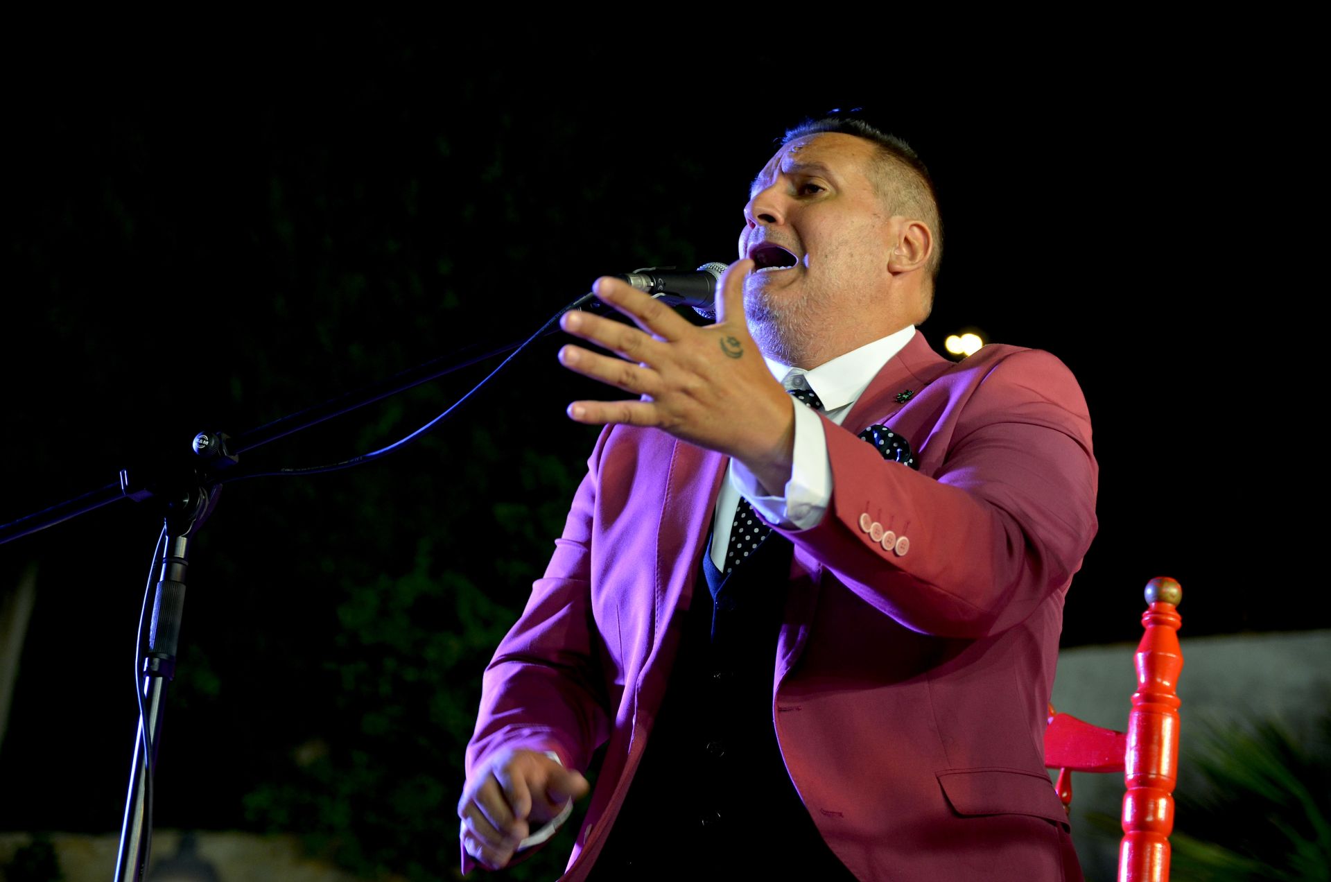 Festival Flamenco de Huétor Vega: tradición y futuro