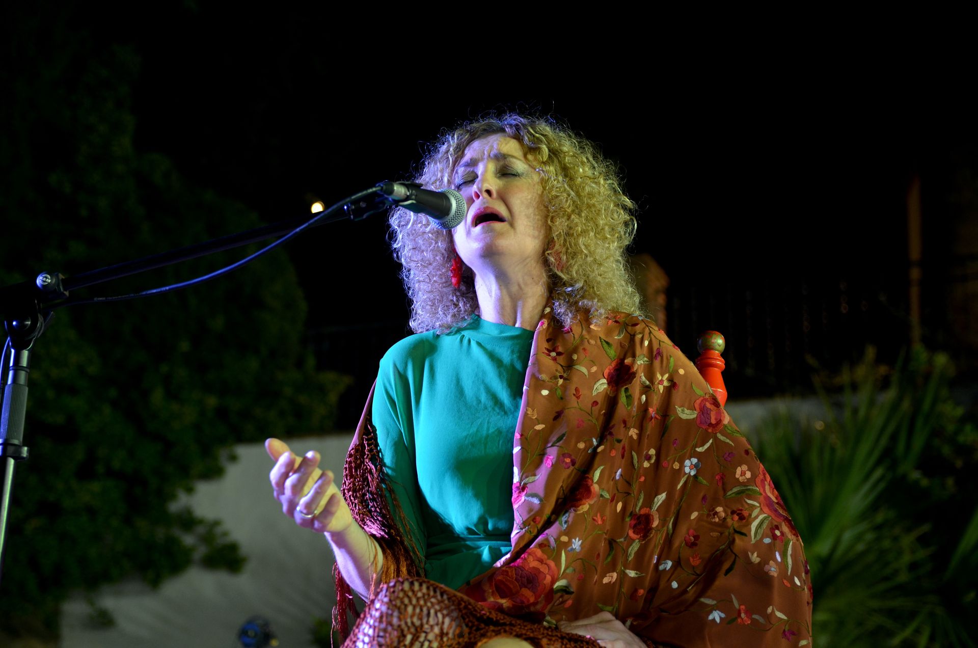 Festival Flamenco de Huétor Vega: tradición y futuro