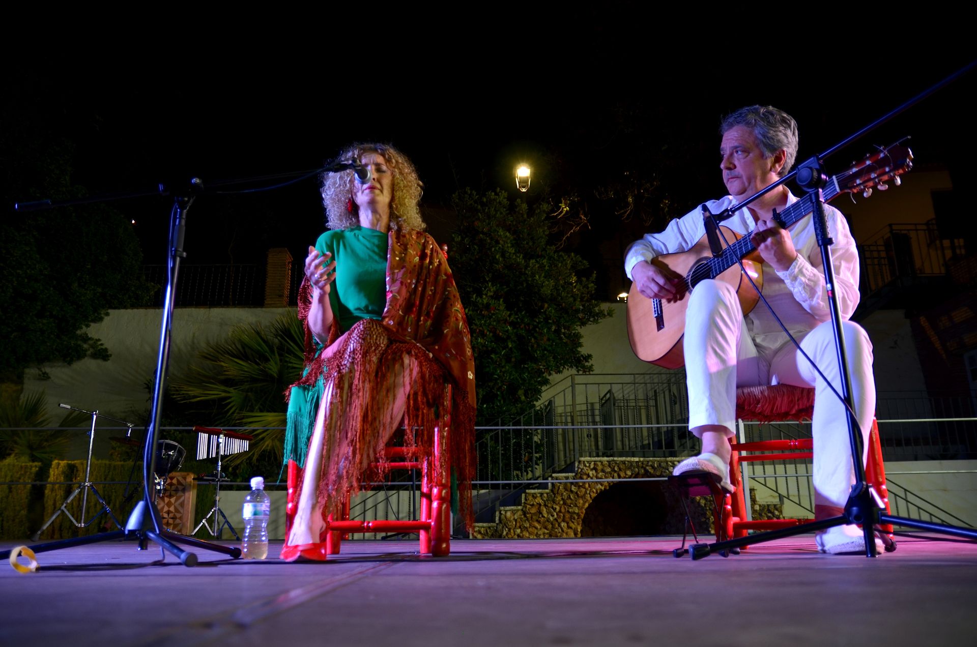 Festival Flamenco de Huétor Vega: tradición y futuro