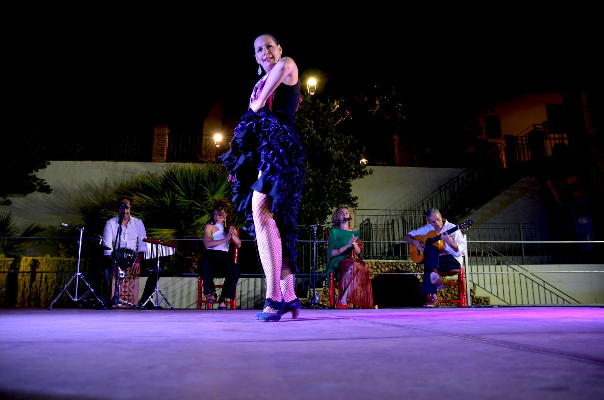 Festival Flamenco de Huétor Vega: tradición y futuro