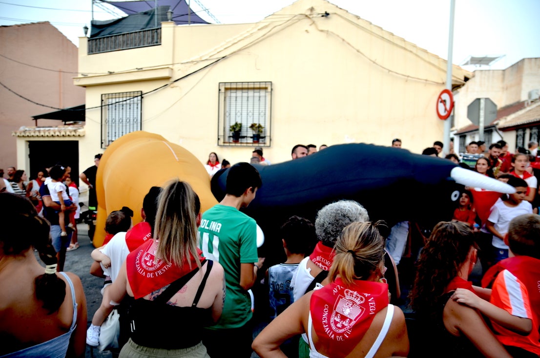Encuéntrate en el 'encierro de toros' familiar de Huétor Vega