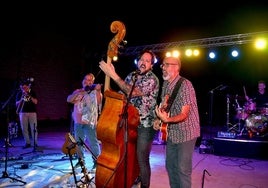 Ambulancia Irlandesa, actuando en Huétor Vega la noche de su 28 aniversario.