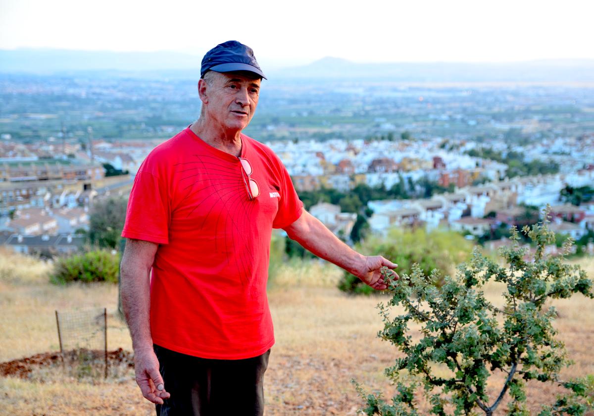 Pepe Víbora, con las primeras encinas plantadas en el Camino de los Neveros.