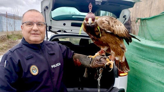 La Policía Local de Huétor Vega recupera un águila real