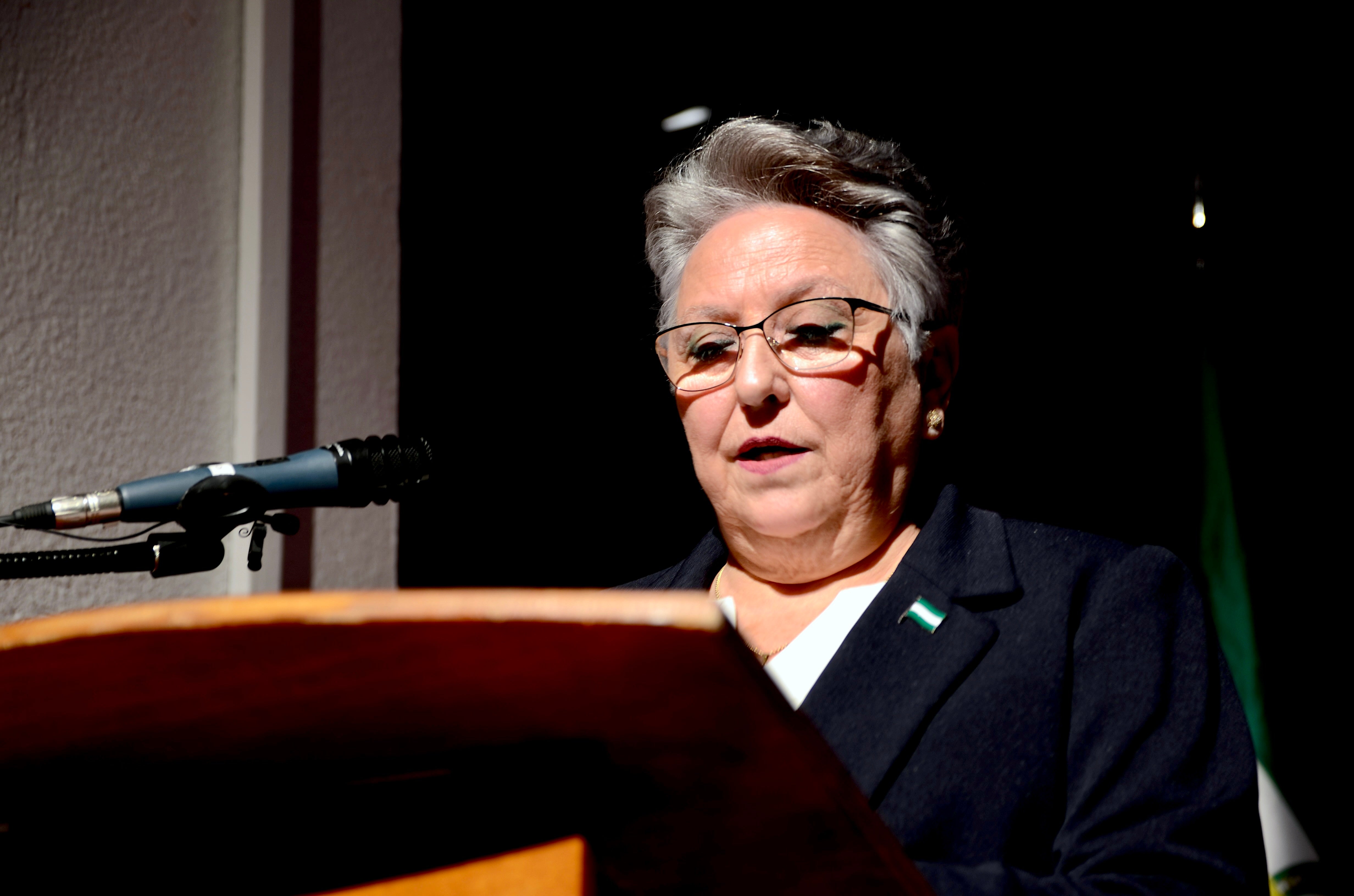 Un Día de Andalucía cargado de emoción en Huétor Vega