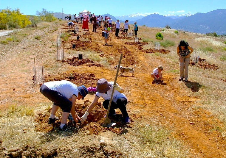 La primera jornada de reforestación: el domingo 5 de junio de 2016.