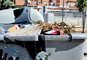 Imagen de un contenedor difundida por Izquierda Unida.