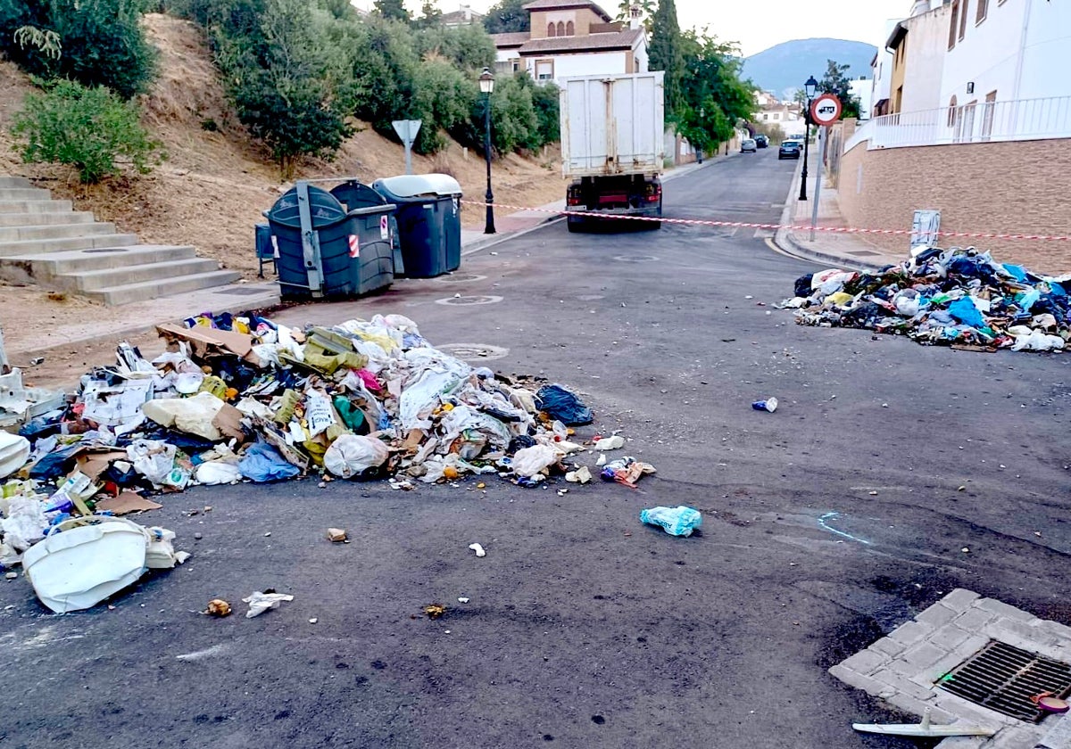 Imagen de Galeria 