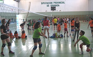 El pabellón La Libertad acoge la concentración de la liga metropolitana de minivoley-olivol