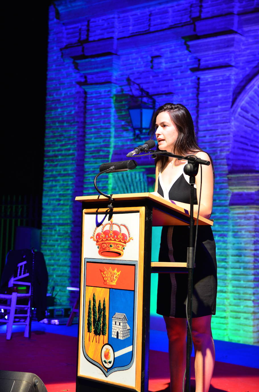 Velada inaugural de la 15 edición del festival internacional de La Zubia