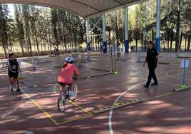 Más de trescientos alumnados han participado esta semana en las jornadas.