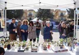 Primera edición de la Feria del Comercio de La Zubia.