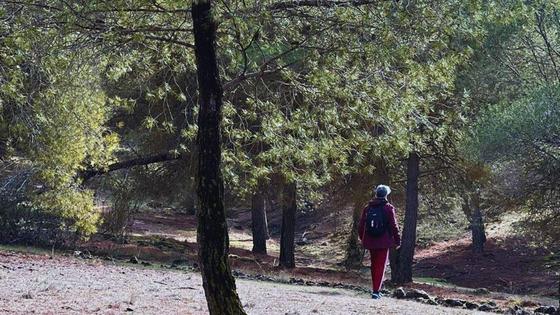 La Zubia propone 'baños de bosque' para desconectar del móvil y meditar