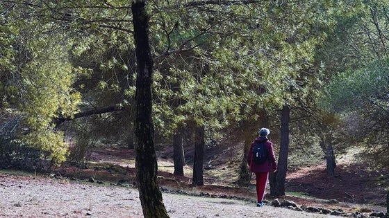 La Zubia organiza una nueva edición de sus 'baños de bosque'