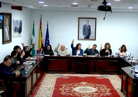 Pleno del Ayuntamiento de La Zubia.