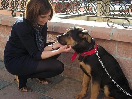 Reducen la multa por deposición de animales en la vía pública para hacer más ejecutable la sanción
