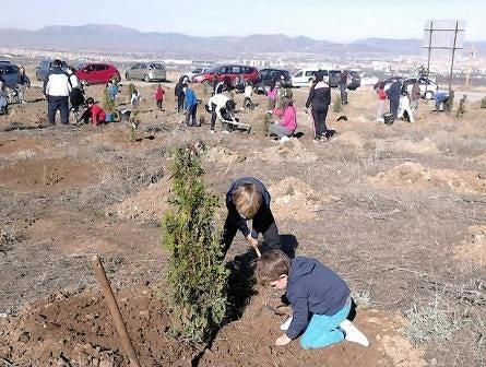 La Zubia se vuelca en la repoblación de abetos en el Bosque Adecua