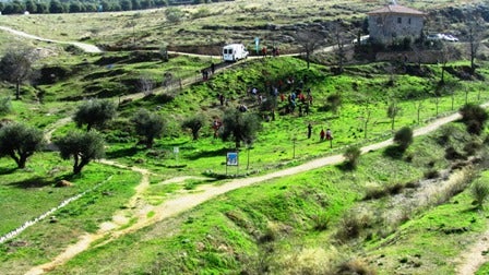 Un centenar de vecinos plantan 300 árboles animados por Al Borde