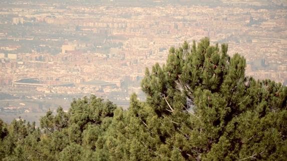 Cumbres Verdes, un parque natural al alcance de la mano