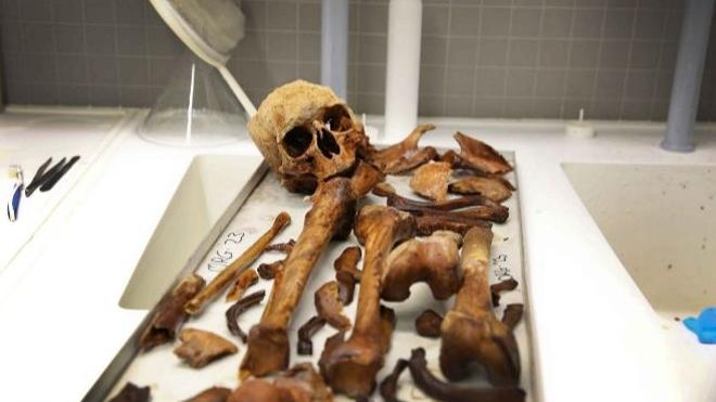 'Los huesos nos cuentan su historia', charla de la antropóloga Inmaculada Alemán