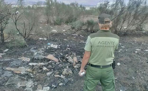 La Junta vigila la quema de residuos agrícolas en las hogueras de San Antón