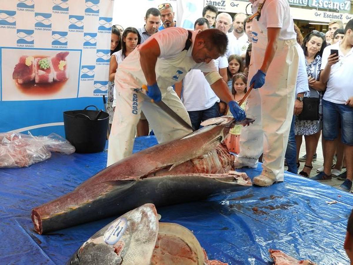 En un marco incomparable como es el paseo del Malecón de Garrucha, restaurante Escánez celebró el I Ronqueo del Atún rojo del Mediterráneo. Durante el evento, los asistentes tuvieron la oportunidad de degustar la carne recién cortada de la espina del atún así como la médula.