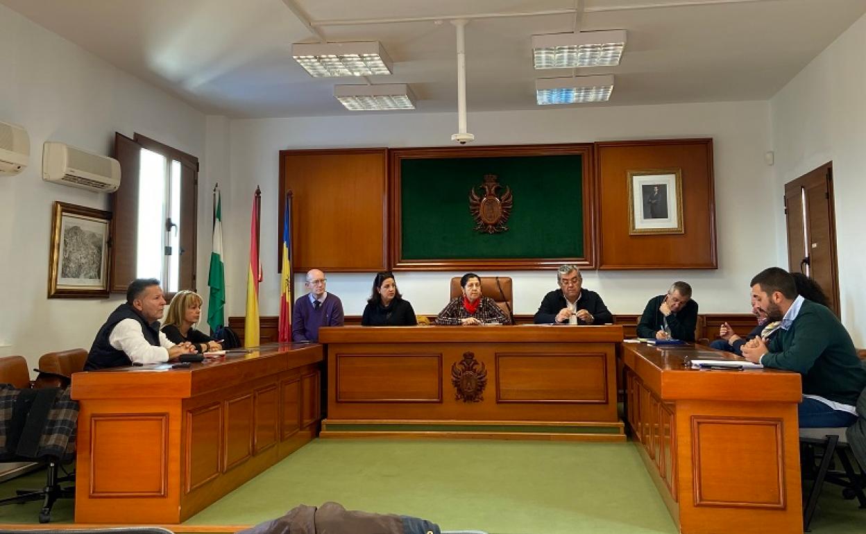Sesión plenaria en el Ayuntamiento de Mojácar. 