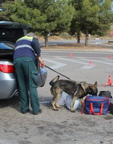Imagen secundaria 2 - Crisis del coronavirus en Almería | La Guardia Civil da el alto al paso de la Covid-19