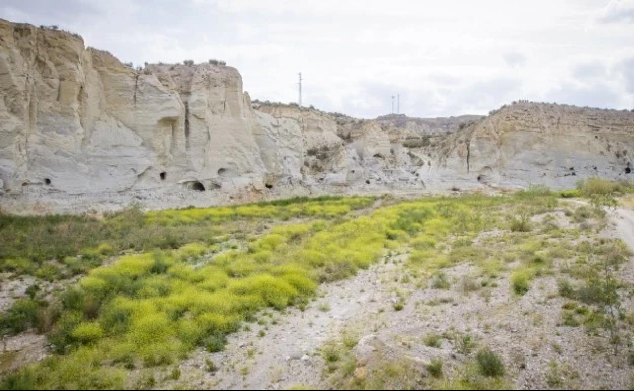El Ministerio de Cultura y el Museo Arqueológico Nacional apoyan el Plan Argar