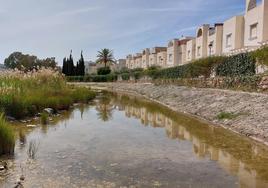 El PSOE pide que acabe con la charca junto a las Bunganvillas