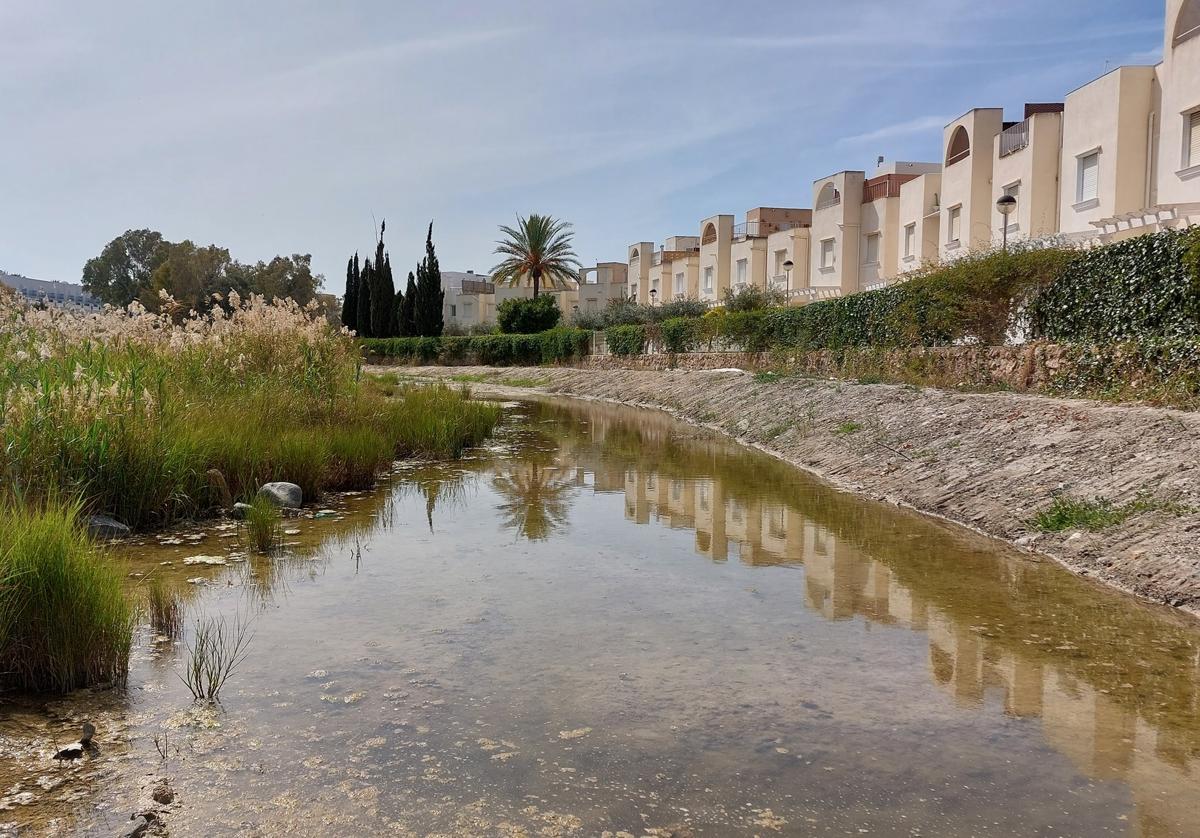El PSOE pide que acabe con la charca junto a las Bunganvillas