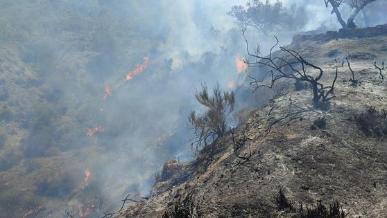 El Infoca da por estabilizado el incendio de Sorbas