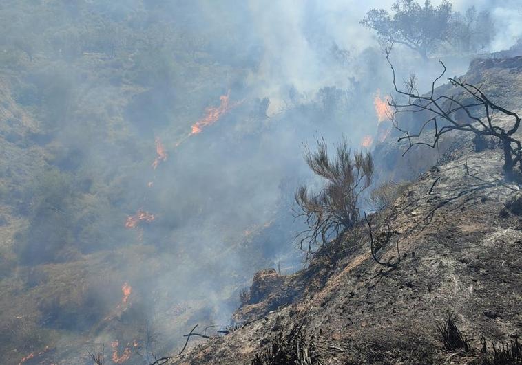 El Infoca da por estabilizado el incendio de Sorbas