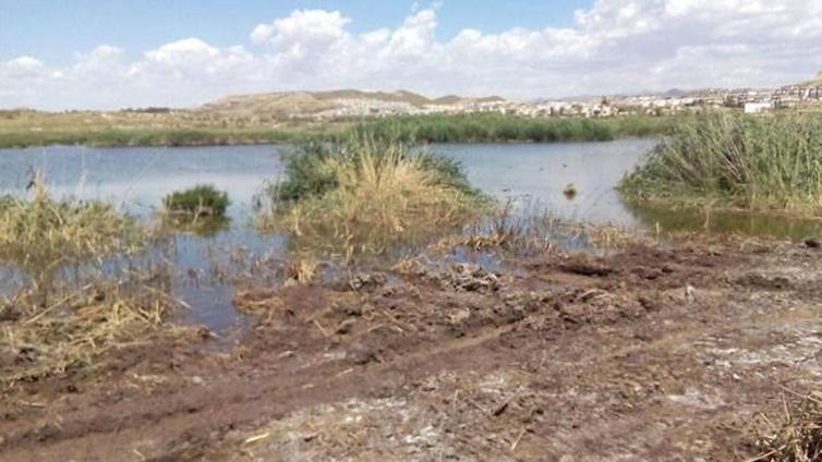 El PSOE propone declarar Paraje Natural Protegido el Salar de los Canos